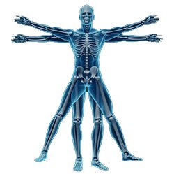 chiropractic history